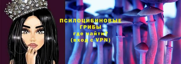 сатива Абинск