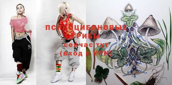 прущая мука Алексин