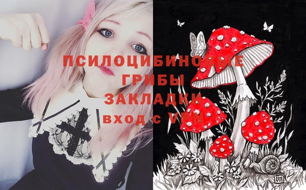 spice Абаза