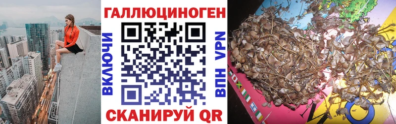 Галлюциногенные грибы прущие грибы  Александров 